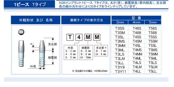 １ピースTタイプ