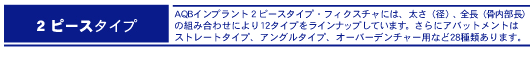 ２ピースタイプ