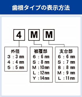 歯根タイプの表示方法