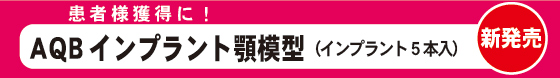 患者様獲得に！AQBインプラント顎模型